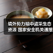 境外势力暗中盗采生态资源 国家安全机关通报（图2）