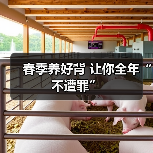 春季养好背 让你全年“不遭罪”(图3) 春季养好背 让你全年“不遭罪”(图3)