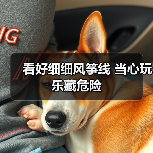 看好细细风筝线 当心玩乐藏危险