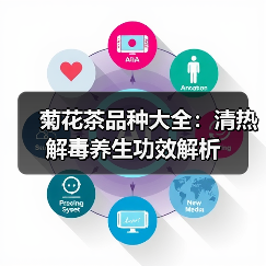 菊花茶品种大全:清热解毒养生功效解析(图4) 菊花茶品种大全:清热解毒养生功效解析(图4)
