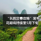 “名园赏春攻略”发布 花期将持续至5月下旬（图3）