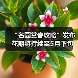 “名园赏春攻略”发布 花期将持续至5月下旬（图2）