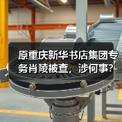 原重庆新华书店集团专务肖陵被查，涉何事？（图2）