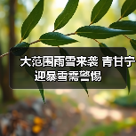 大范围雨雪来袭 青甘宁迎暴雪需警惕(图3) 大范围雨雪来袭 青甘宁迎暴雪需警惕(图3)