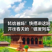 转给爸妈!快搭乘这趟开往春天的“银发列车”(图1) 转给爸妈!快搭乘这趟开往春天的“银发列车”(图1)