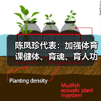 陈凤珍代表:加强体育课健体、育魂、育人功效(图4) 陈凤珍代表:加强体育课健体、育魂、育人功效(图4)