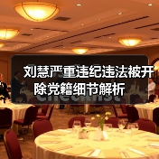 刘慧严重违纪违法被开除党籍细节解析（图3）