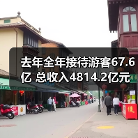 去年全年接待游客67.6亿 总收入4814.2亿元(图2) 去年全年接待游客67.6亿 总收入4814.2亿元(图2)