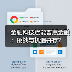 金融科技赋能普惠金融:挑战与机遇并存?(图3) 金融科技赋能普惠金融:挑战与机遇并存?(图3)
