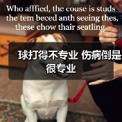 球打得不专业 伤病倒是很专业