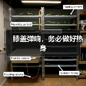 膝盖弹响，务必做好热身（图3）
