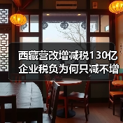 西藏营改增减税130亿 企业税负为何只减不增?(图4) 西藏营改增减税130亿 企业税负为何只减不增?(图4)