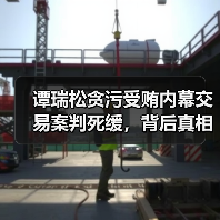 谭瑞松贪污受贿内幕交易案判死缓，背后真相引关注（图2）