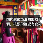 国内航线燃油附加费下调，机票价格或有变动？（图3）