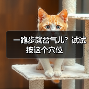一跑步就岔气儿?试试按这个穴位(图4) 一跑步就岔气儿?试试按这个穴位(图4)