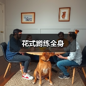 花式蹲练全身
