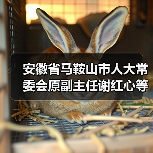 安徽省马鞍山市人大常委会原副主任谢红心等4人被公诉
