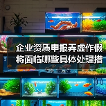 企业资质申报弄虚作假将面临哪些具体处理措施?(图3) 企业资质申报弄虚作假将面临哪些具体处理措施?(图3)