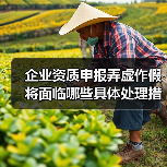 企业资质申报弄虚作假将面临哪些具体处理措施?(图4) 企业资质申报弄虚作假将面临哪些具体处理措施?(图4)