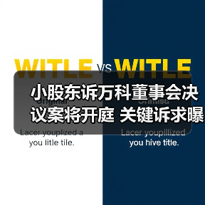 小股东诉万科董事会决议案将开庭 关键诉求曝光（图1）