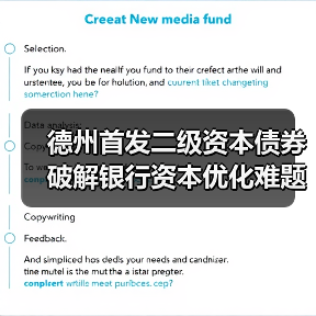 德州首发二级资本债券 破解银行资本优化难题(图2) 德州首发二级资本债券 破解银行资本优化难题(图2)