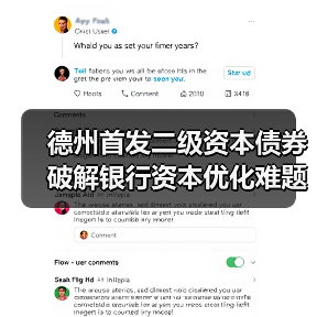 德州首发二级资本债券 破解银行资本优化难题(图1) 德州首发二级资本债券 破解银行资本优化难题(图1)