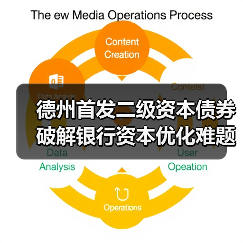 德州首发二级资本债券 破解银行资本优化难题(图3) 德州首发二级资本债券 破解银行资本优化难题(图3)