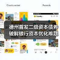 德州首发二级资本债券 破解银行资本优化难题(图4) 德州首发二级资本债券 破解银行资本优化难题(图4)