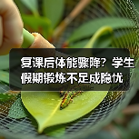 复课后体能骤降？学生假期锻炼不足成隐忧