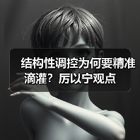 结构性调控为何要精准滴灌？厉以宁观点（图3）