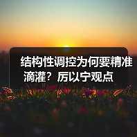 结构性调控为何要精准滴灌？厉以宁观点（图4）