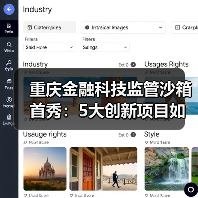 重庆金融科技监管沙箱首秀：5大创新项目如何赋能实体？（图4）