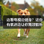 边看电视边健身？这些有氧运动让你高效锻炼