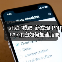 肝脏 肝脏