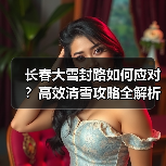 长春大雪封路如何应对？高效清雪攻略全解析（图3）