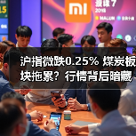 沪指微跌0.25% 煤炭板块拖累？行情背后暗藏玄机（图4）