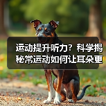 运动提升听力？科学揭秘常运动如何让耳朵更灵（图2）