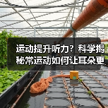 运动提升听力？科学揭秘常运动如何让耳朵更灵