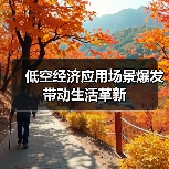 低空经济应用场景爆发 带动生活革新(图2) 低空经济应用场景爆发 带动生活革新(图2)