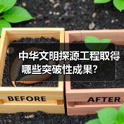 中华文明探源工程取得哪些突破性成果？