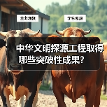 中华文明探源工程取得哪些突破性成果？（图2）