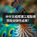 中华文明探源工程取得哪些突破性成果？（图3）