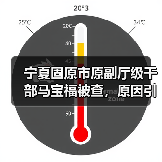 宁夏固原市原副厅级干部马宝福被查，原因引关注（图4）