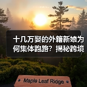十几万娶的外籍新娘为何集体跑路？揭秘跨境骗婚黑产（图2）