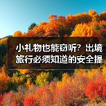 小礼物也能窃听？出境旅行必须知道的安全提示（图3）
