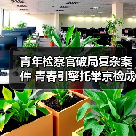 青年检察官破局复杂案件 青春引擎托举京检成长(图1) 青年检察官破局复杂案件 青春引擎托举京检成长(图1)