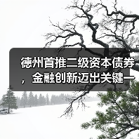 德州首推二级资本债券，金融创新迈出关键一步