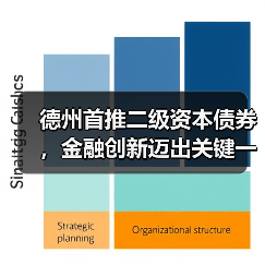 德州首推二级资本债券，金融创新迈出关键一步（图3）