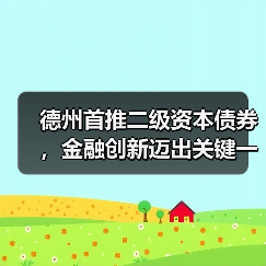 德州首推二级资本债券，金融创新迈出关键一步（图4）