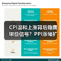 CPI温和上涨背后隐藏哪些信号?PPI涨幅扩大原因解析(图2) CPI温和上涨背后隐藏哪些信号?PPI涨幅扩大原因解析(图2)